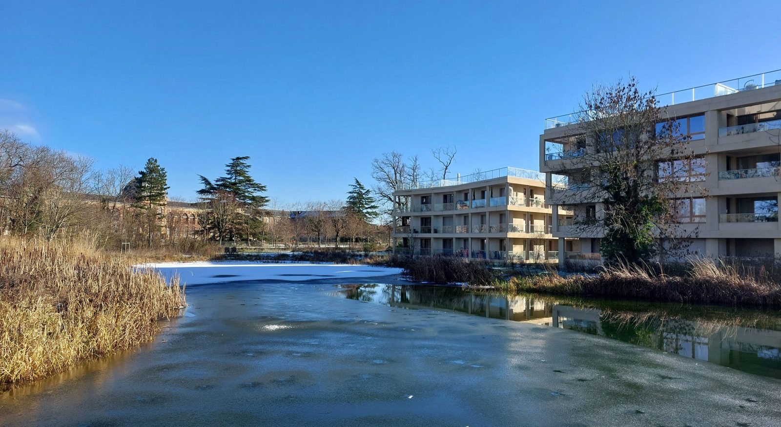 Lac du parc Princesse au Vésinet 